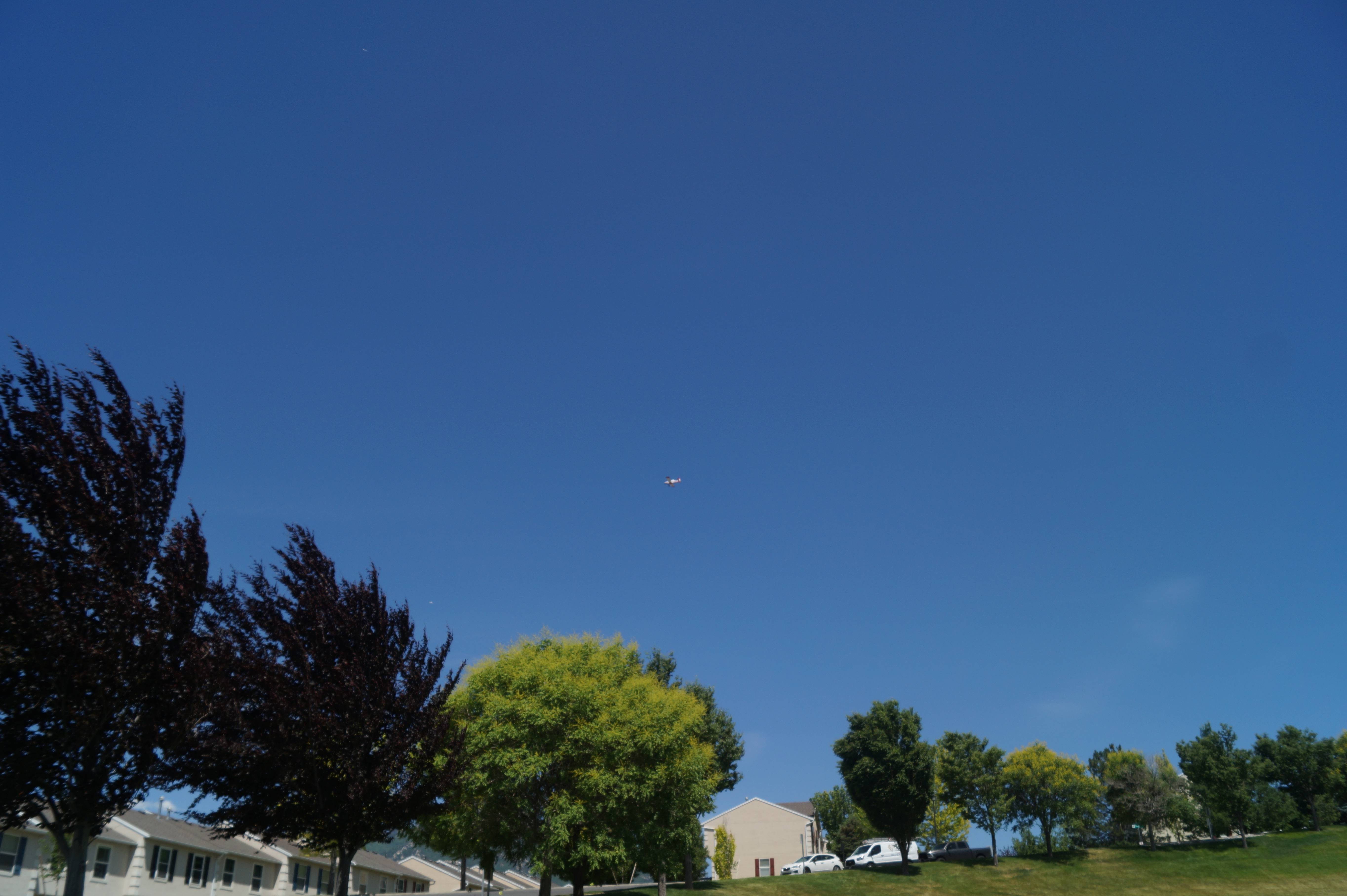 DSC00598