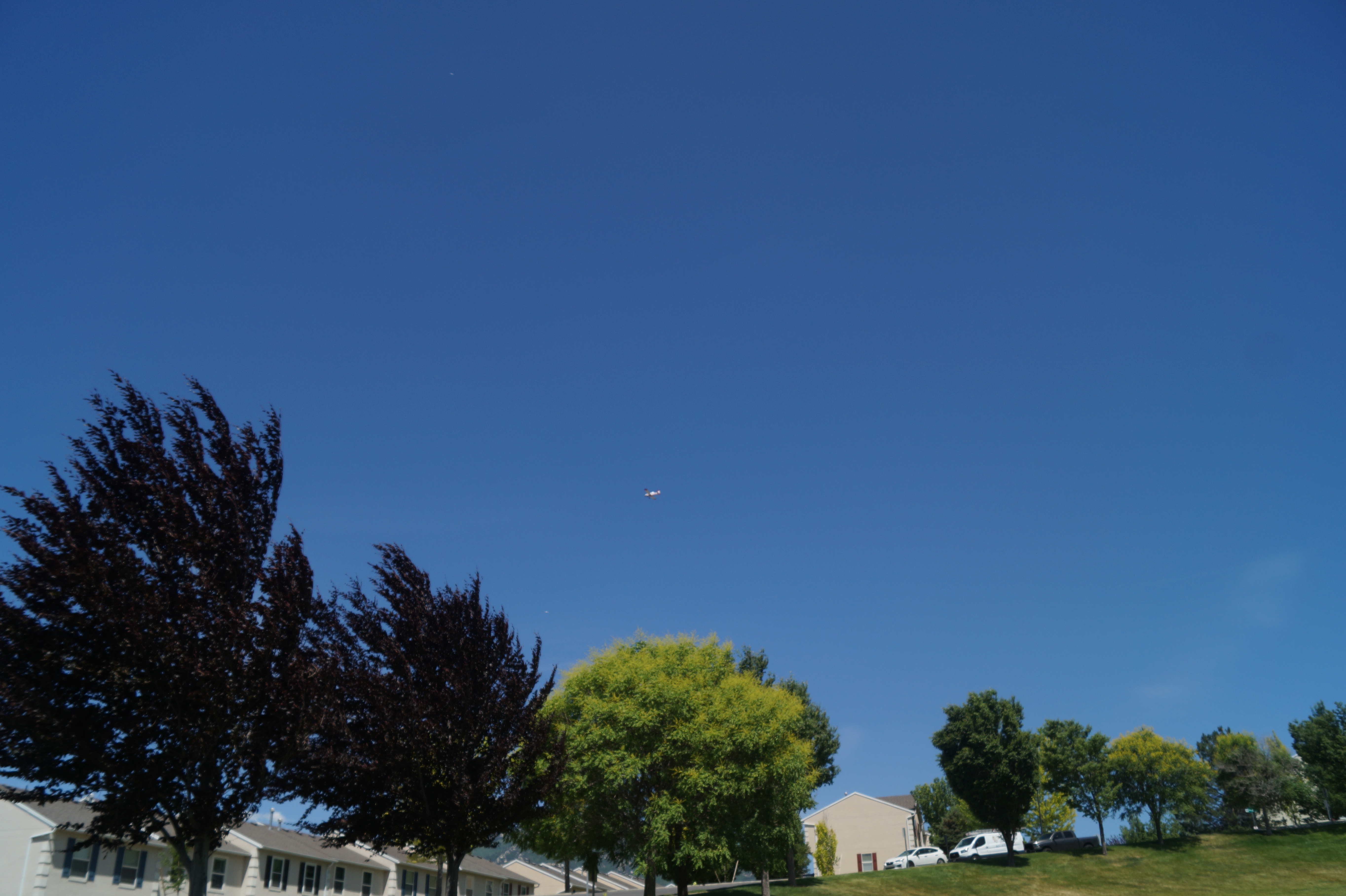 DSC00600